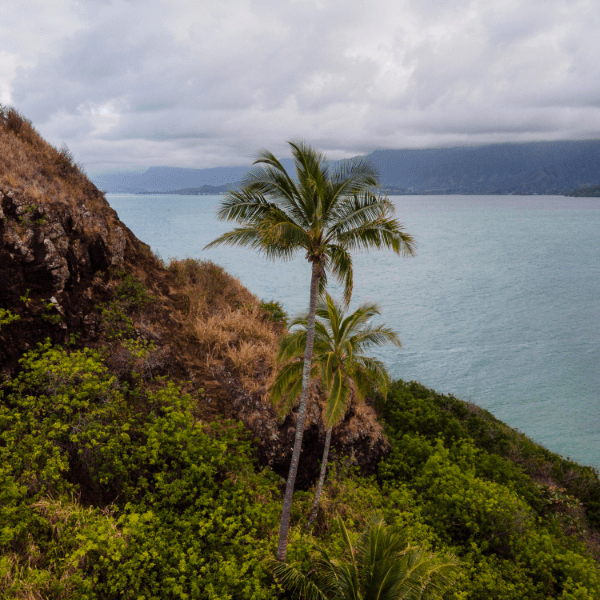 Saint Lucia