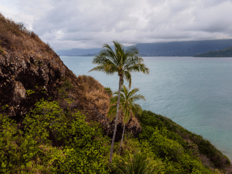 Saint Lucia